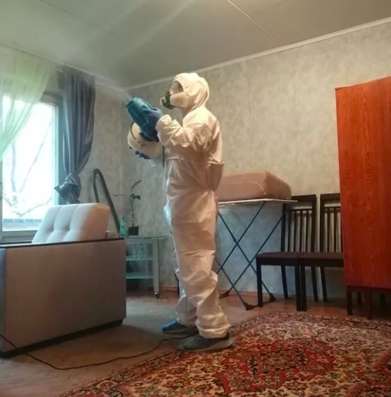дезинсекция квартиры в Бирске